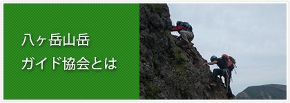 八ヶ岳山岳ガイド協会とは